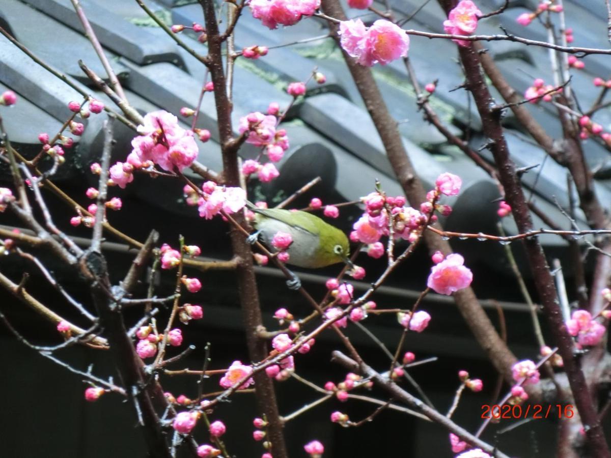 ホテル 星出館 伊勢市 エクステリア 写真