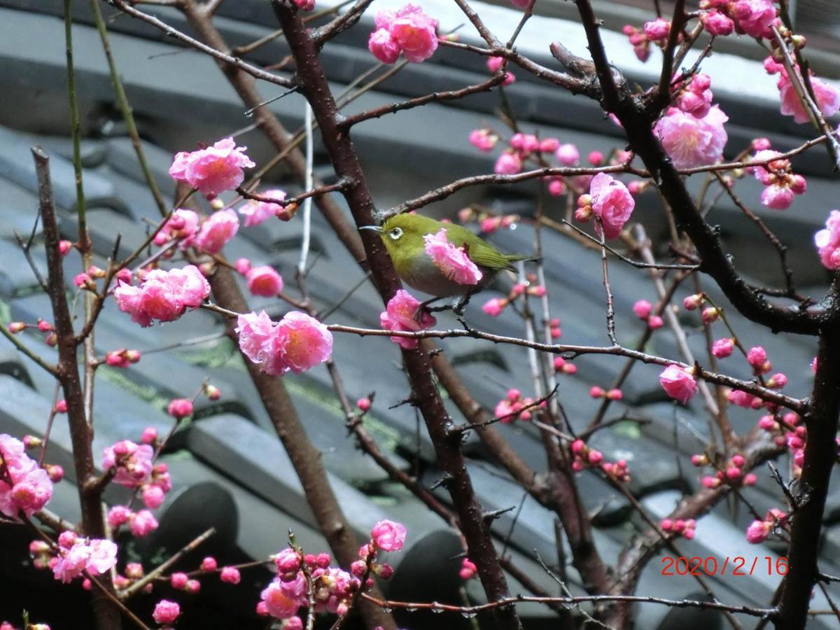 ホテル 星出館 伊勢市 エクステリア 写真